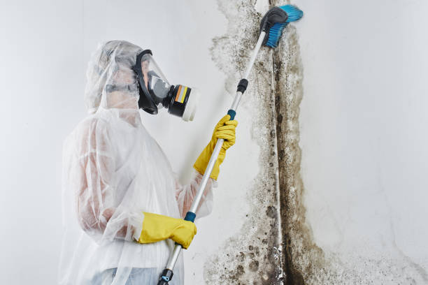 Water Damage Restoration in Johnsonburg, PA