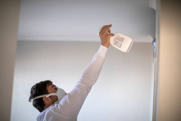 Best Affordable Mold Removal  in Johnsonburg, PA