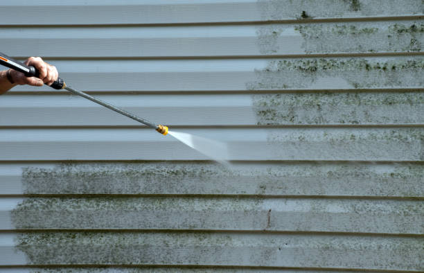 Best Mold Cleaning Services  in Johnsonburg, PA