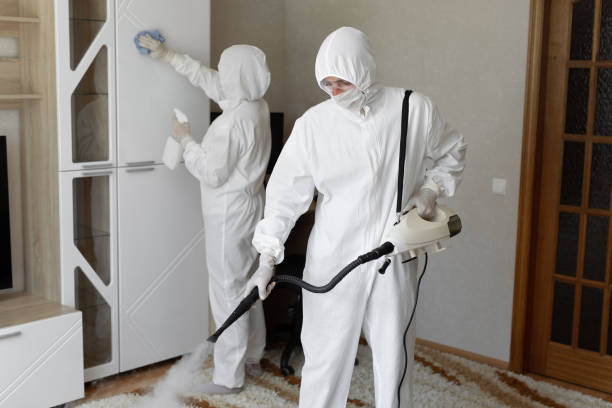 Best Mold Damage Repair  in Johnsonburg, PA