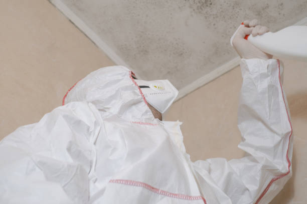 Best Crawl Space Mold Removal  in Johnsonburg, PA